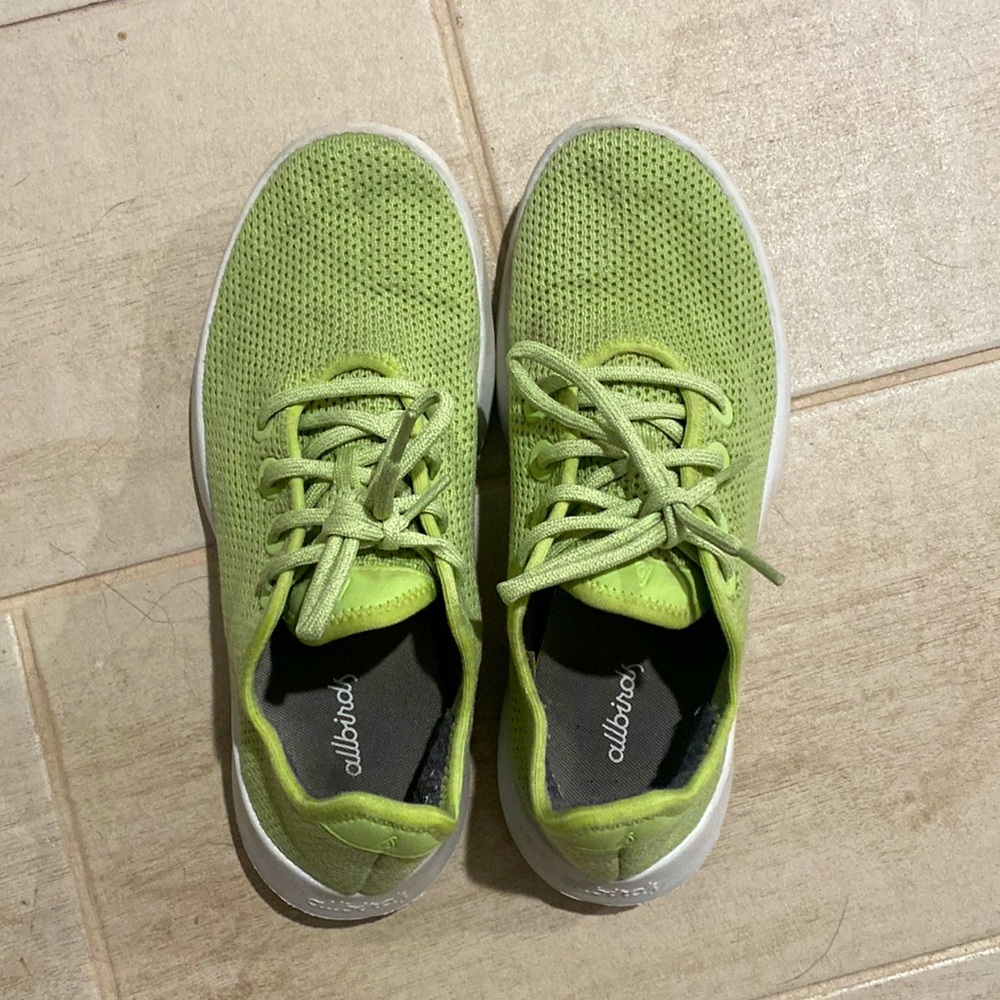 Allbird Tree Runners